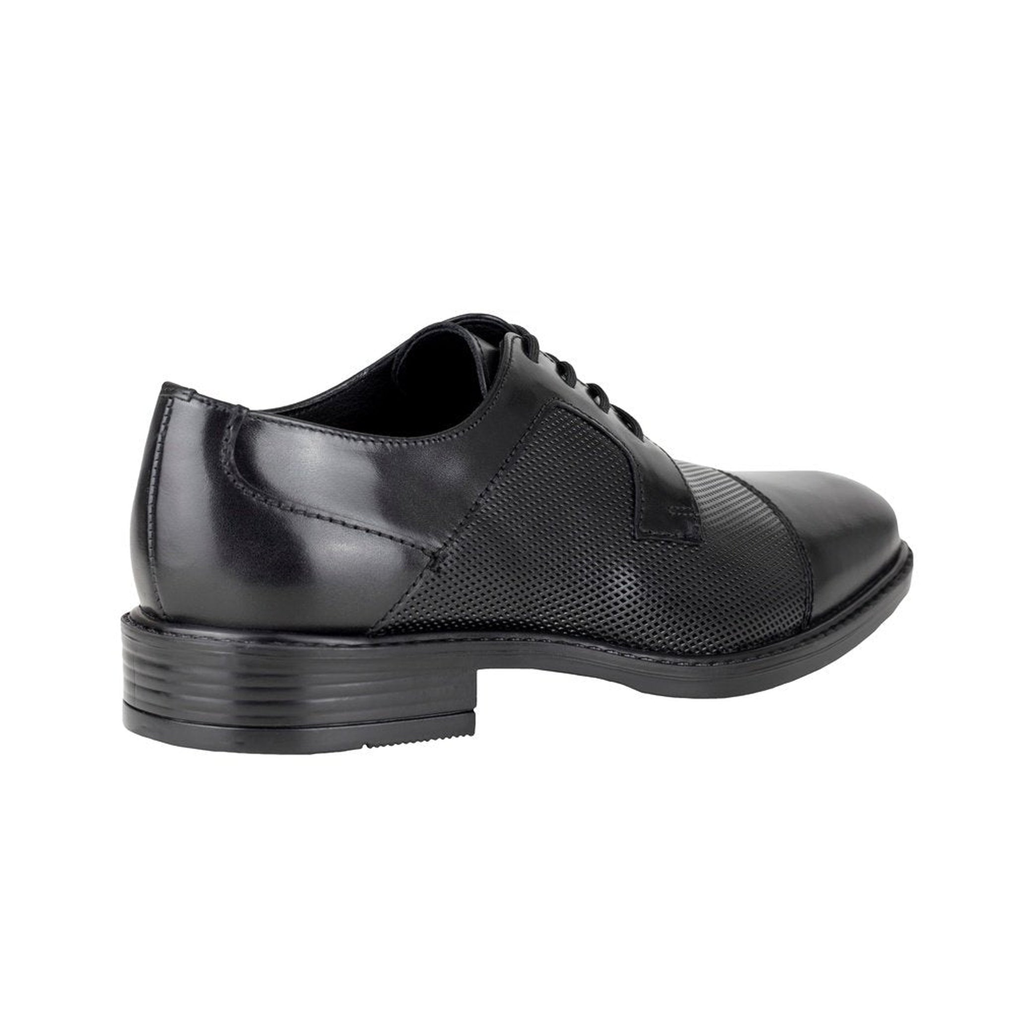 Zapatos Derby Hombre Gino Cherruti 225 Negro Piel Vestir