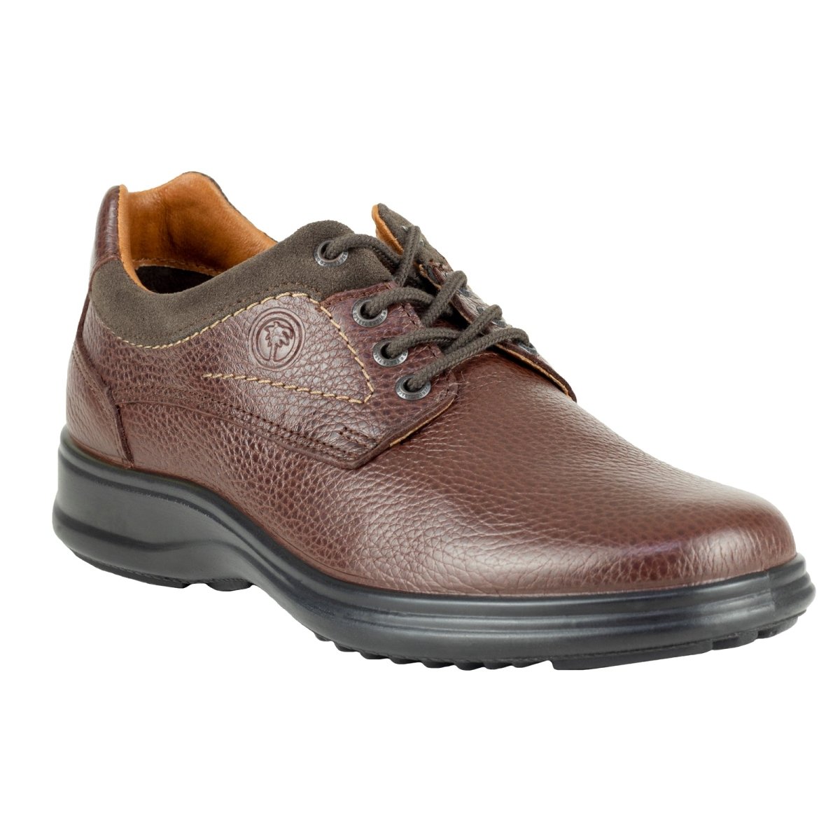 Zapato Derby Caballero Verde Tabaco 2586 Shedron VT2586 - 250 - SHE - Roma Zapaterías