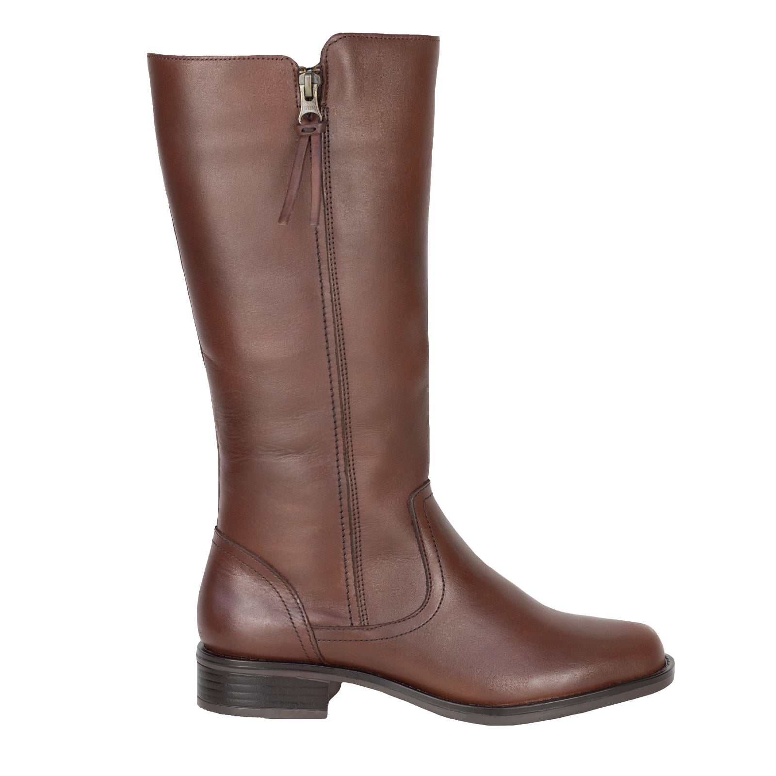 Bota Caña Larga Casual Para Dama Gino Cherruti 5308 Testa