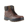 Bota Casual Caballero Flexi Country Epic 406005 Tan + Productos de Limpieza