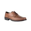 Derby Casual Caballero Flexi Bali 406402 Tan + Productos de Limpieza